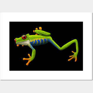 Red Eyed Tree Frog Posters and Art